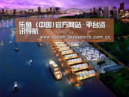 案例展示八