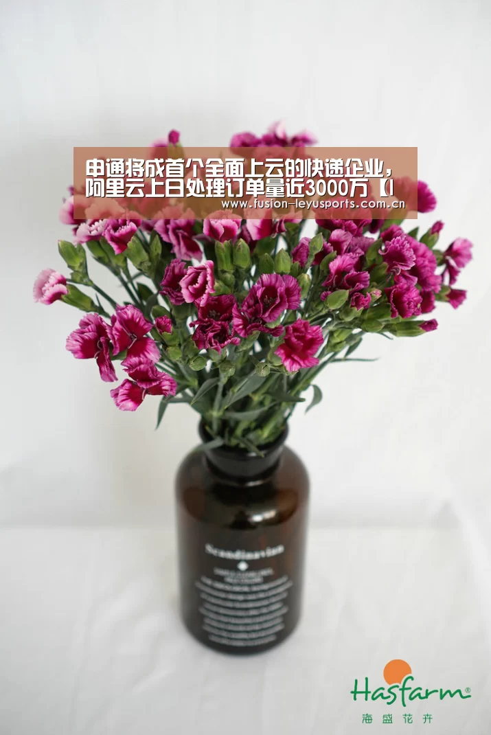 申通将成首个全面上云的快递企业,阿里云上日处理订单量近3000万【leyu平台】(图2) 电竞竞猜