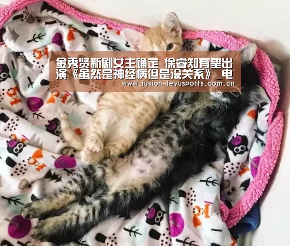 leyu官网