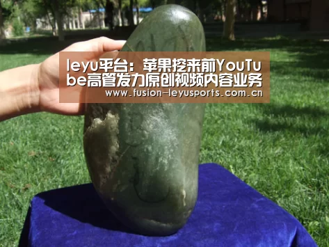 leyu平台:苹果挖来前YouTube高管发力原创视频内容业务(图3) leyu平台