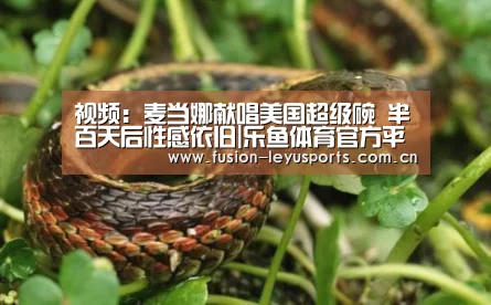 电竞竞猜