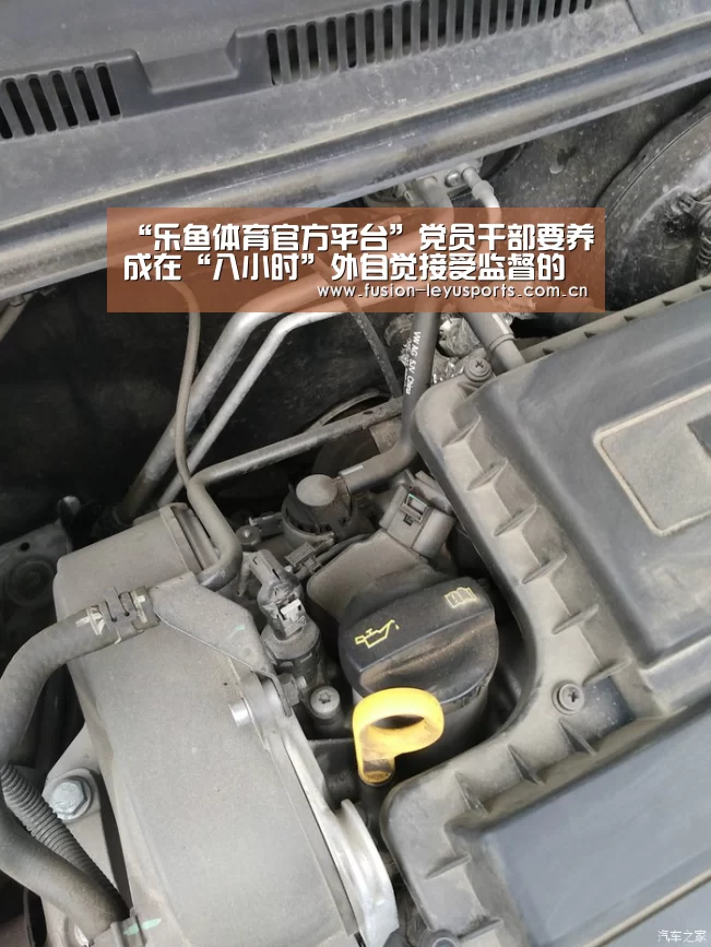 电竞竞猜